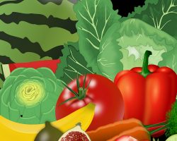 Découverte de produits alimentaires locaux