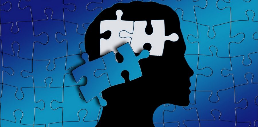 Formation – les intelligences multiples