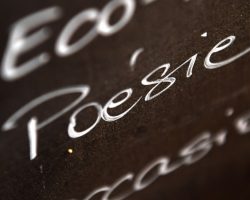 Poèmes écrits par nos 3èmes