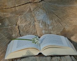 Voyage lectures – 6è2
