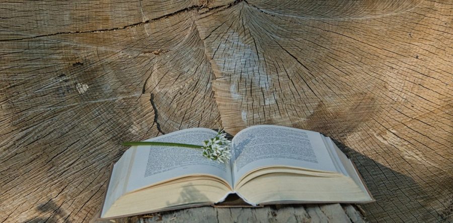Voyage lectures – 6è2