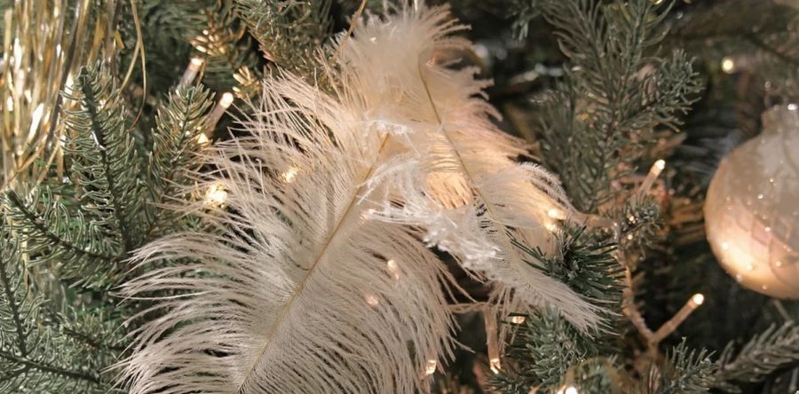 Plantations et décorations de Noël