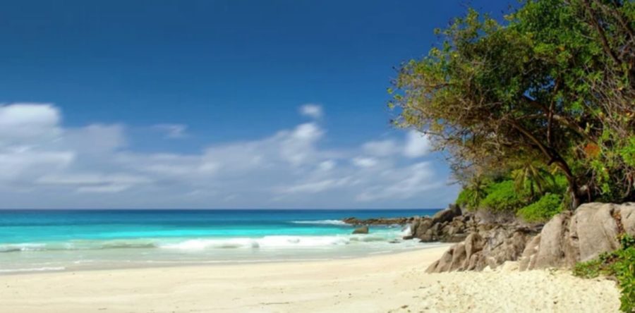 Bonnes vacances