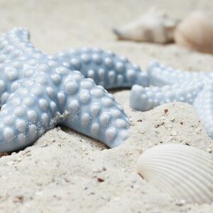 Bonnes vacances
