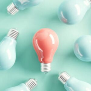 Retour sur les semaines de la différence