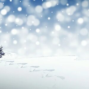 Les Vœux de l’Ensemble Scolaire Saint Charles