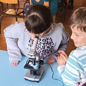 Découverte du microscope en CE2-CM1