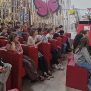 Partir à la découverte des insectes / CE2-CM1 et CM2