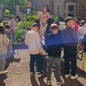 Quand nos CE2-CM1 découvrent des vers de farine