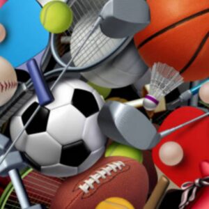 Manifestation sportive interscolaire CM2-6èmes